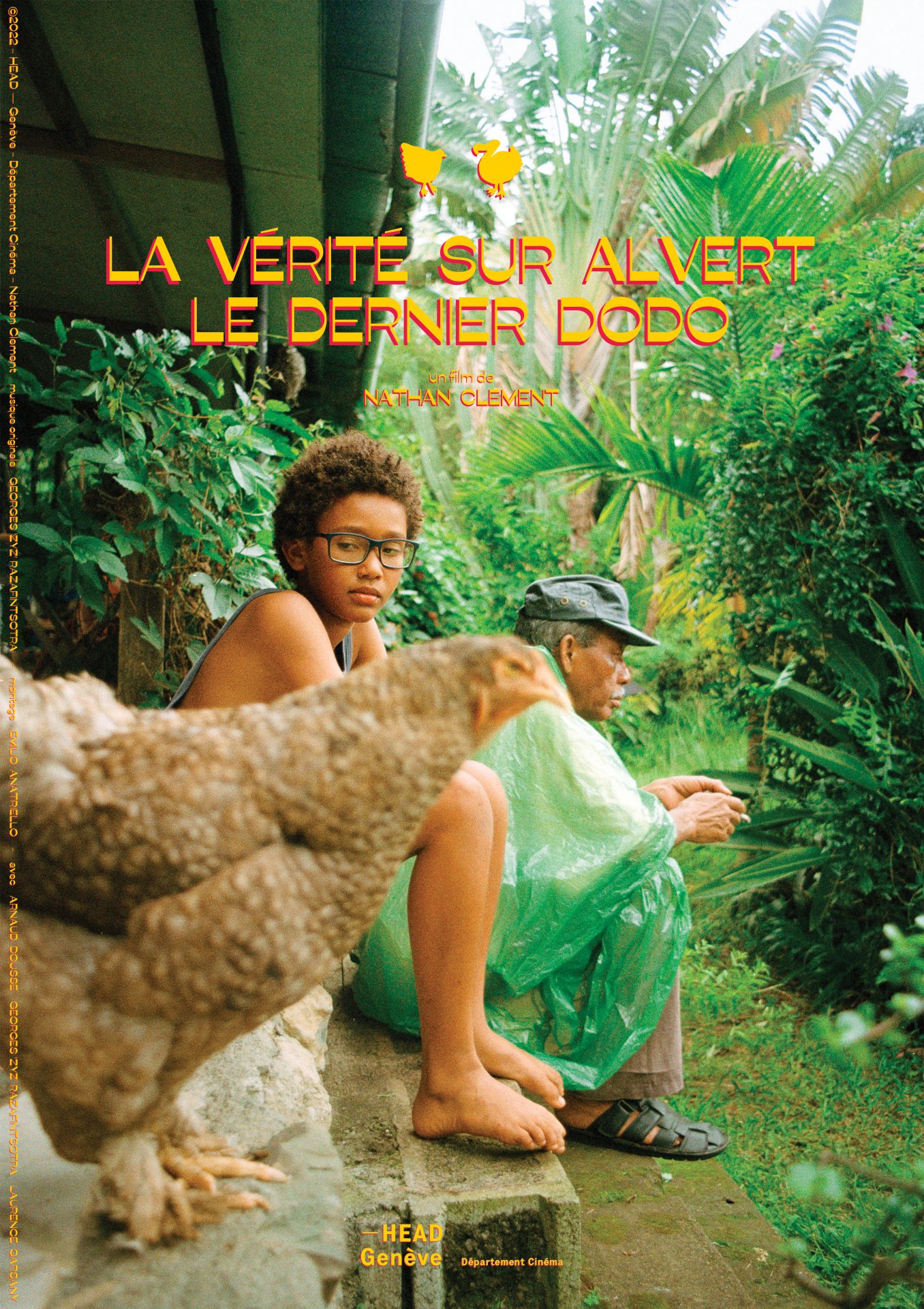 The truth about Alvert, the last Dodo