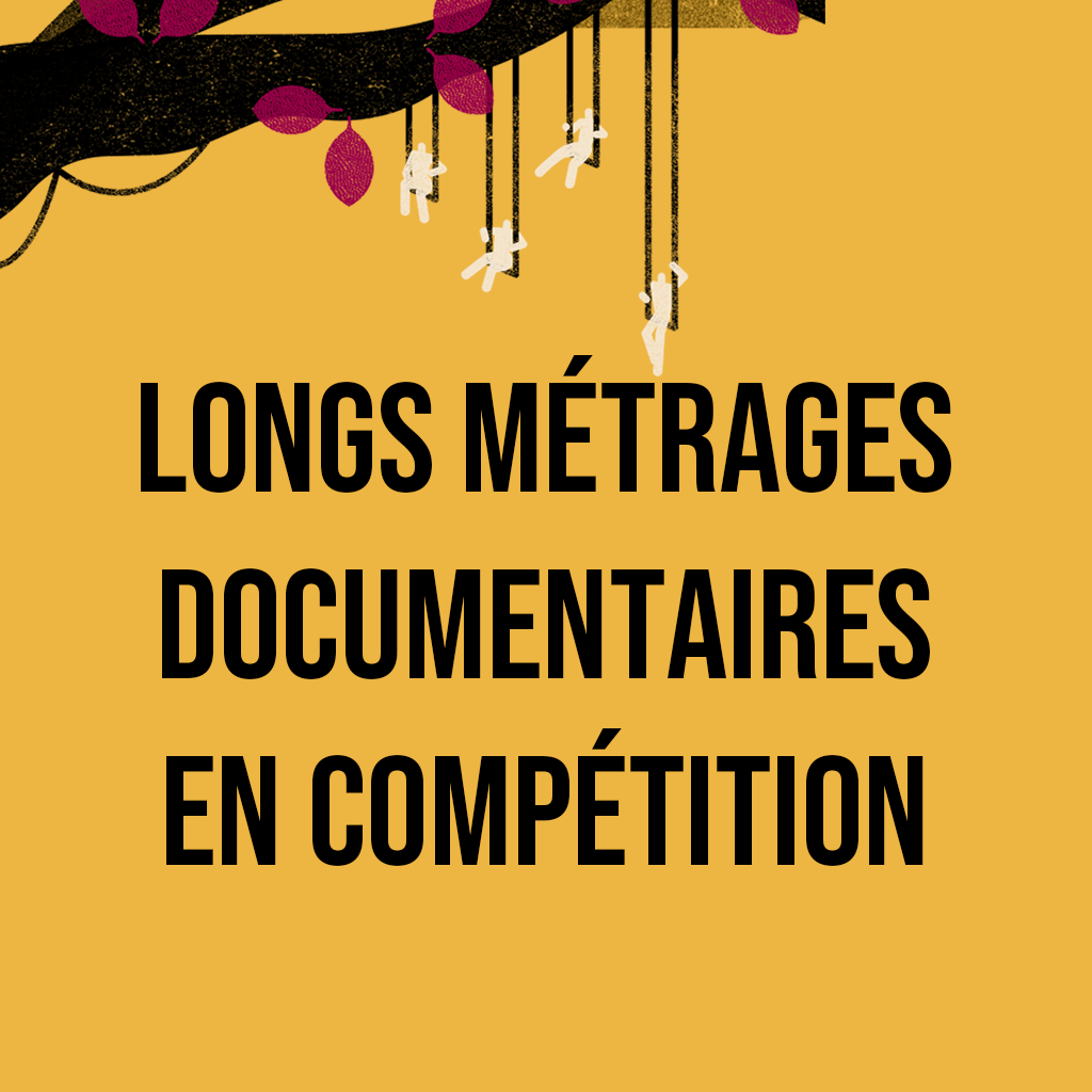 visuel catégorie LMD