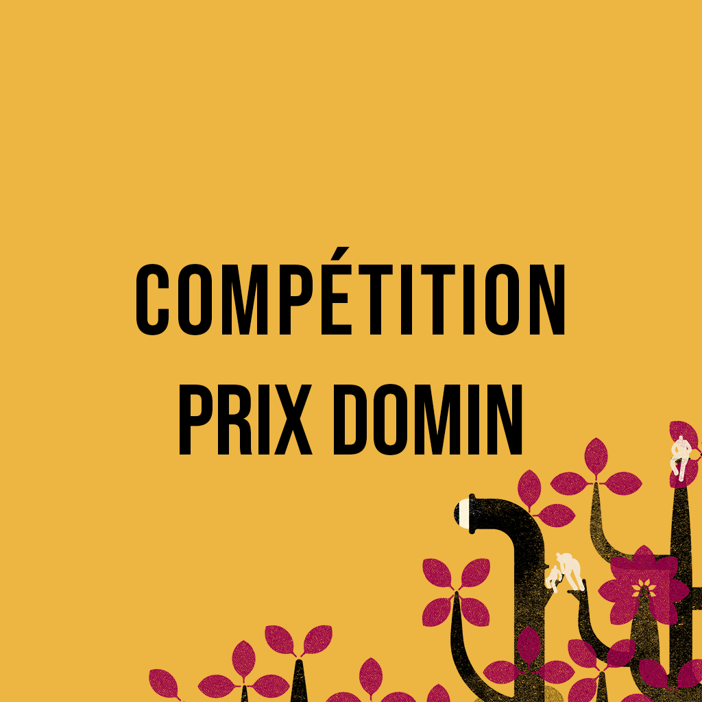 visuel catégorie prix domin