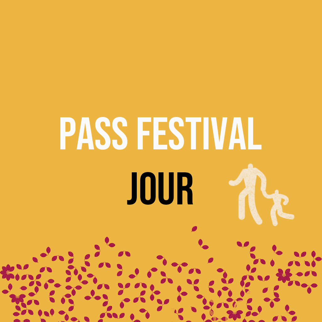 visuel pass festival jour