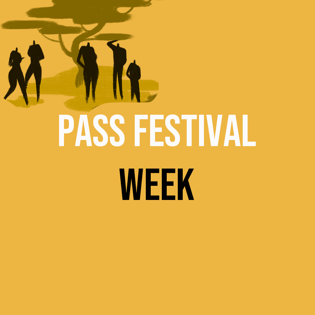 visuels pass festival en